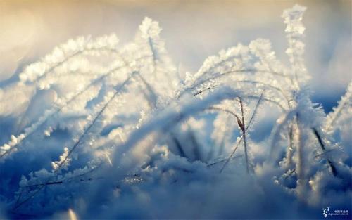 于光中：南半球的冬天