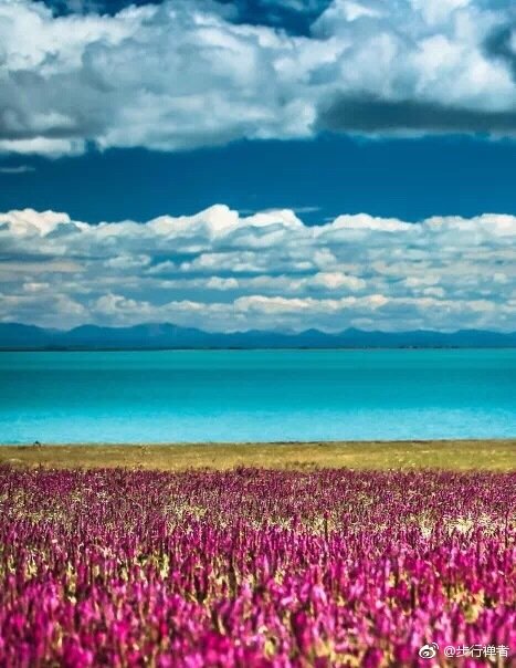 读《诗与距离》后的感想