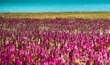 《诗与远方》读后感