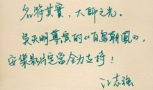 《百鸟朝凤》读后感