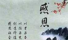 你的社会经历教会了你什么？