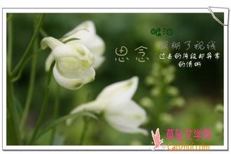 缺少丈夫的短信