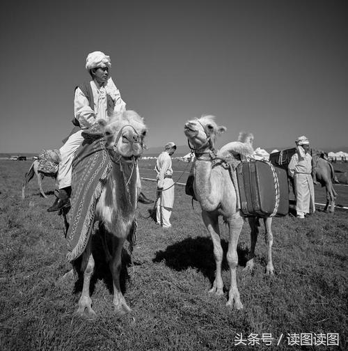 认真地用一句话