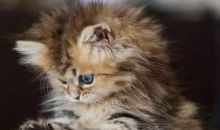 经典语录：遇到了就该珍爱，错过了那就释怀