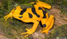 人类的力量之源——《大灭绝时代》读后感之一