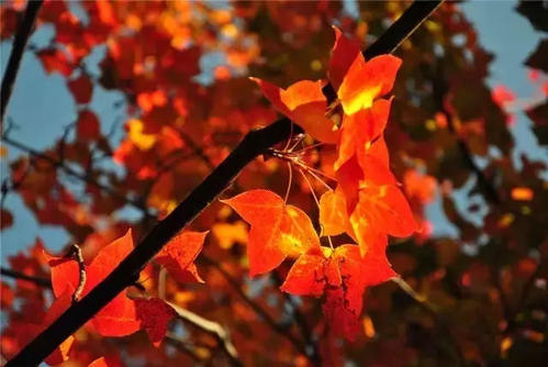 关于秋天的好部分