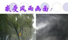 贾平凹：风雨