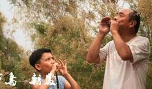 电影《百鸟朝凤》观后感