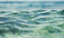 做个寡言，但心有一片海的人