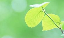 人生的最高境界，就这两个字