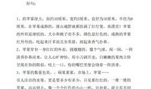 描写吊兰的好词好句