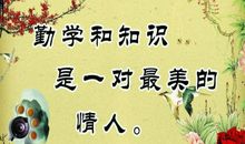 关于勤奋读书学习的格言