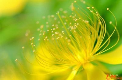 青年励志文章:让青年以最美丽的光芒发光