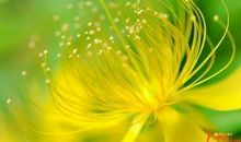 青春励志文章：让青春闪耀最美的光彩