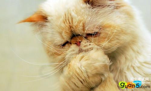 超级坚硬的绕口令：88岁的岳父