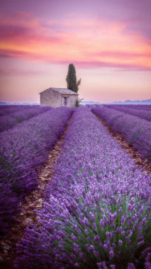 最大的幸福：要做某事，某人爱并期望某事