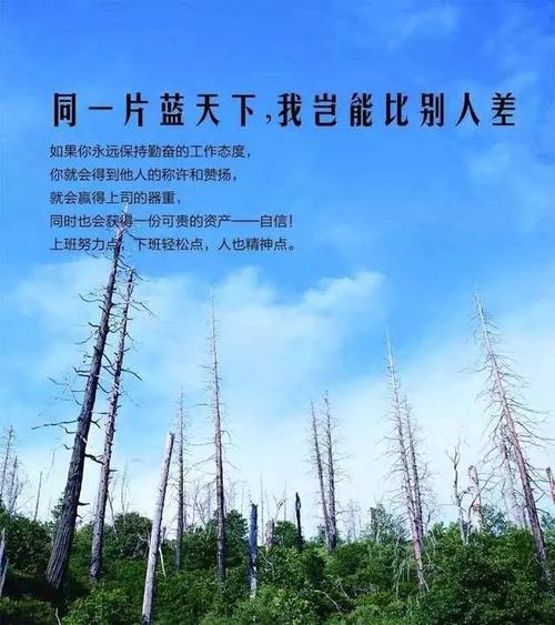 2018年最受欢迎的句子