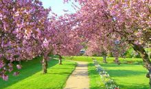 关于描写景色的好段