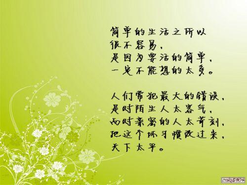 简短但准确的句子