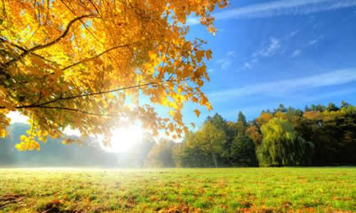 昆明的秋季作文