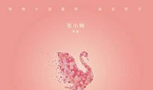 张小娴：我不会爱上你