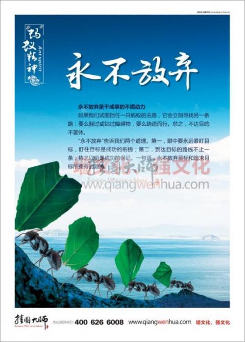 企业精神和文化口号