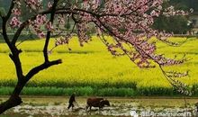 习作：我真想有个“十三月”