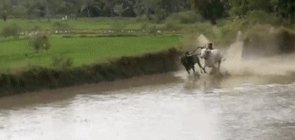 生命在跌落时只是流着泪