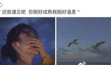 经典语录：我们迟点遇见吧，等你刚好成熟，等我刚好温柔