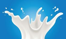 奶制食品的广告词