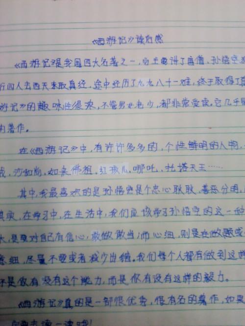 西游记500字构成