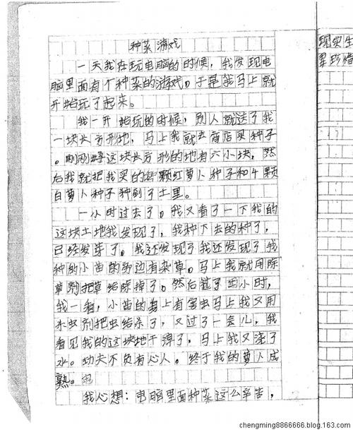 假期组成让我成长