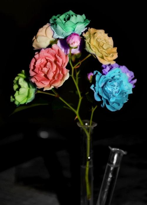 经典语录：对花朵的欣赏不同，对花朵的悲伤不同；如果你问爱，什么时候鲜花盛开和秋天