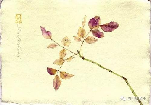 王增琪:下水道和孩子