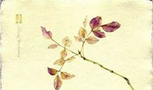 汪曾祺：下水道和孩子