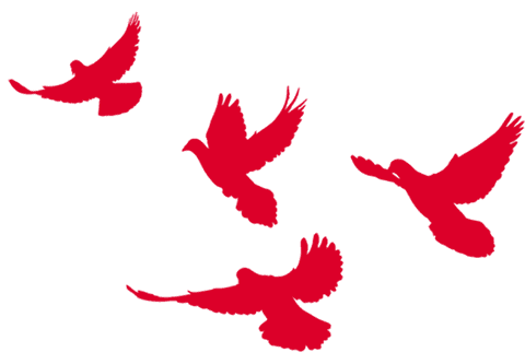 国庆假期笔记500字