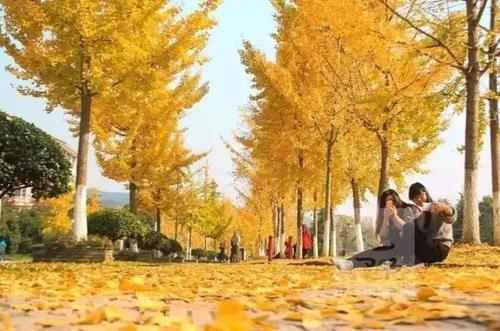 于大夫:“秋天很酷”