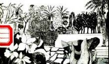 呵旁观者文读后感