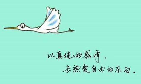 经典人生理解语录