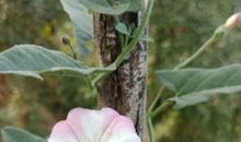 周国平：车窗外