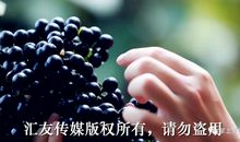 郁达夫：巴掌厚的腊肉和巴掌大的蚊子