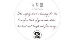 飞鸟集读后感英文