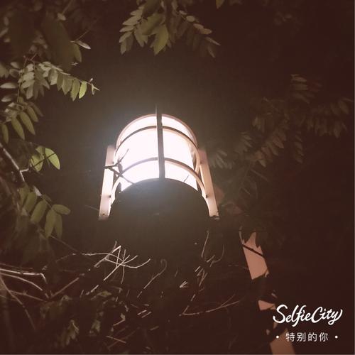 周国平：时代村过去的事