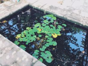 林庆轩：吹长笛