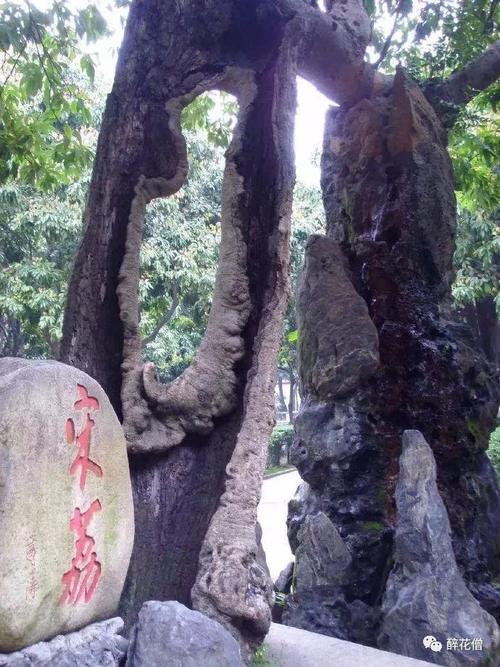 于大夫：我承认那是“失败”