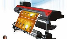 罗兰：老人与猫