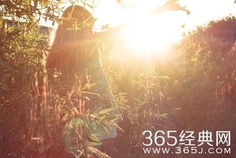 关于夏天的好句子