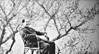 毛泽东:卜守子·咏梅