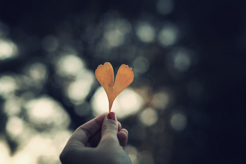 关于微笑的美丽话