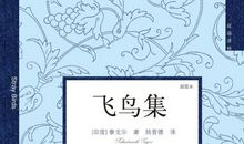 飞鸟集读后感800字